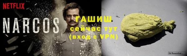 стафф Коряжма