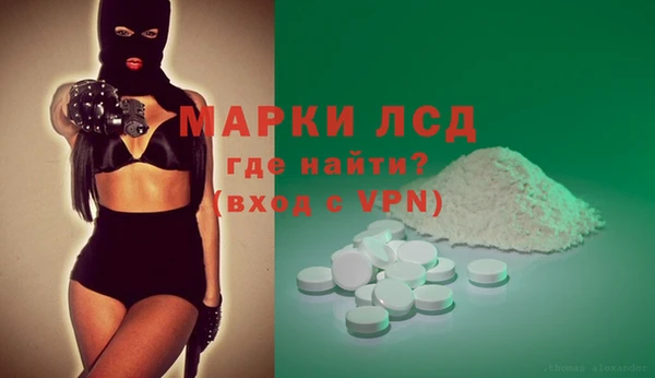 стаф Козельск