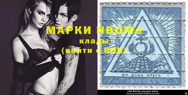 стафф Коряжма