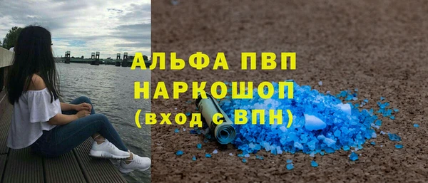стаф Козельск