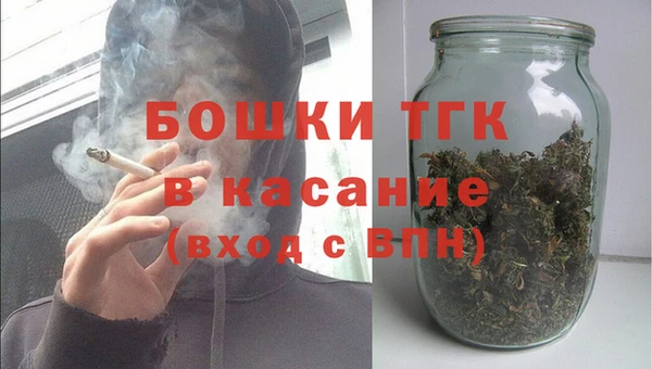 стаф Козельск