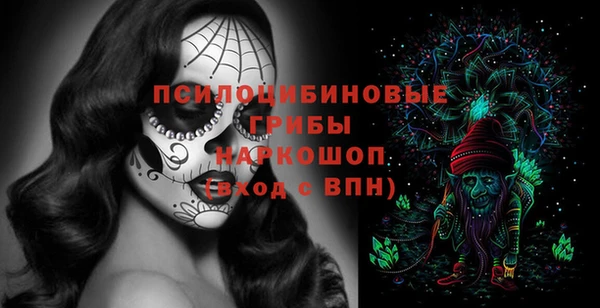 стаф Козельск