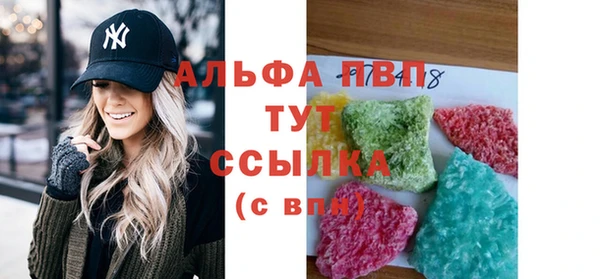 стаф Козельск